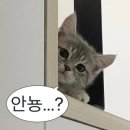 이가네순대국 이미지