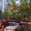 소답동118 이미지