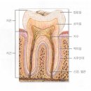 김현기치과의원 이미지