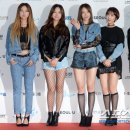 EXID 카카오 검색결과