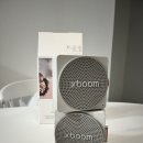 아이피엑스 | LG 엑스붐 미니(LG xboom Mini) 2대 내돈내산 언박싱 연결 사용 후기 및 장단점 총정리✨