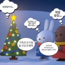 더존사이다 동전노래연습장 | 하루종일 부지런히 살고 매일 감사함을 느끼며 웅앵,,,🥸(뱃살도둑/투어스/위례나무여성의원/몰리케이/익...