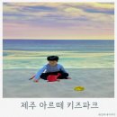 더아르떼플러스 | 제주 아이랑 실내 가볼만한곳 애월 아르떼 키즈파크 대형 키즈카페 이용 후기