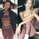 웰니스미