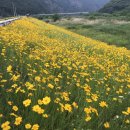 무릉도원수산 이미지