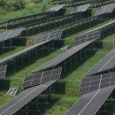 해성태양광발전소 이미지