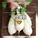(주)상상디지탈 네이버블로그