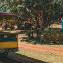 명성농장 | 하와이 파인애플 농장 방문 후기