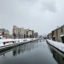 느릅나무가든 | [훗카이도/북해도 : 삿포로] 겨울 여행지/관광지 솔직후기(오타루, 비에이, 시내)