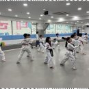 경희대 인성 태권도장 이미지