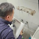 청주 누수공사 믿고 맡긴 곳! 영진누수탐지공사 후기 🛠️💧