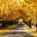 의동마을 이미지