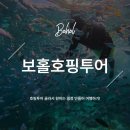 도락어촌체험휴향마을 | 보홀호핑 투어 추천으로 자유여행 일정 채우기