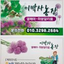복용농장 티스토리