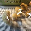 새자리농원 이미지