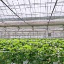 고양농장2 이미지