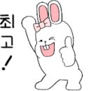 스마일카포스 이미지