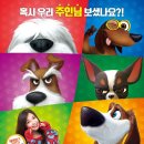 내가 누구개? 이미지