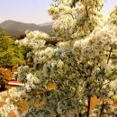 통양사랑테마공원 이미지