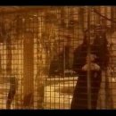 Tol &amp; Tol - Eleni (orginele clip) 이미지