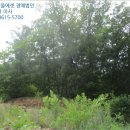 지둔2리 마을회관 이미지