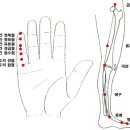경혈 - 경혈점의 선택과 그 혈들의 취혈 요령 이미지