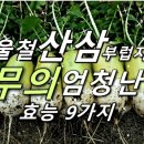 겨울철 산삼 부럽지 않은 '무'의 엄청난 효능 9가지 이미지