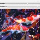 OpenCV로 배우는 영상 처리 및 응용 chapter 05, 06, 07, 08 이미지