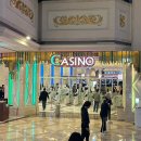 하이원 그랜드호텔카지노 이미지