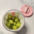 물빠짐이 되는 후르츠팟 휴대용 과일&amp;샐러드컵 사용 후기