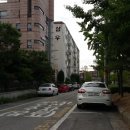 경기도 수원시 장안구 정조로 이미지