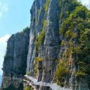 슬기로운생활상사 이미지