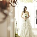 수원-1229 이미지