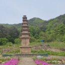 화북면 상오리 칠층석탑 경북문화신문