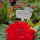 남부농원 | 현석농원 봄 나들이 | 분재·온실정원·꽃모종 총망라한 수원 근교 식물원