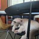 칸게임장(일-73호) | 천방지축얼렁뚱땅 보령 당진 예산 찍고~