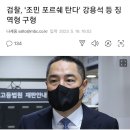 검찰, '조민 포르쉐 탄다' 강용석 등 징역형 구형 이미지