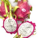 씨앗농부 이미지