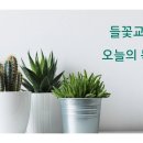 2026년 06월 25일 (목) 제목 : 처형되는 아도니야 오늘의 말씀 : 열왕기상 2:13-25 이미지
