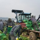 제31사단 503여단 이미지