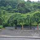 보성녹차(목포)휴게소화장실 이미지