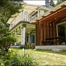 비발디 스케치북 이미지