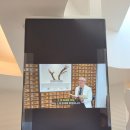 온누리한의원 | [대전 괴정동 우노한의원] 산후골반통 산후보약 추나 약침 후기