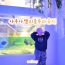 블루라운지 | 대구 동성로 아쿠아밸리 블루라운지 따끈후기