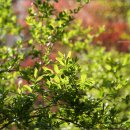 그리고봄 이미지