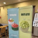 설빙인동점