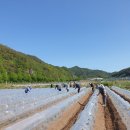 일월면사무소 이미지