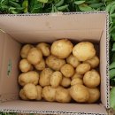 선도중학교 이미지