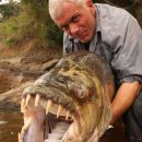 [인터넷]전세계에서 발견된 가장 무서운 물고기 TOP9 이미지