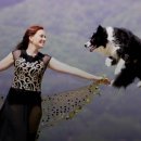 도그스토리 이미지